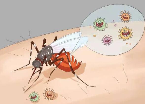 户外旅行如何防止蚊虫叮咬？